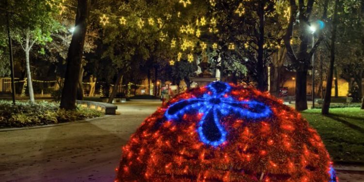 Ljepota je u detaljima: Goran Jović otkriva čaroliju zimske makrofotografije s Pura 80 Ultra