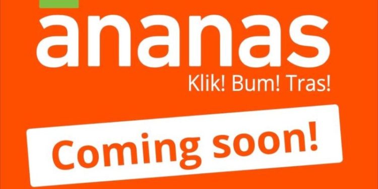 ananas-bh